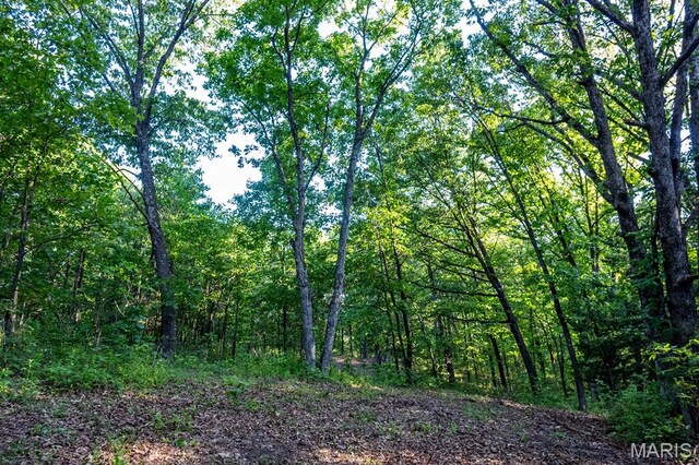 00 Tickridge Rd, Elsberry, MO 63377