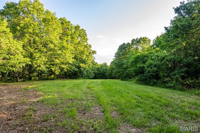 00 Tickridge Rd, Elsberry, MO 63377
