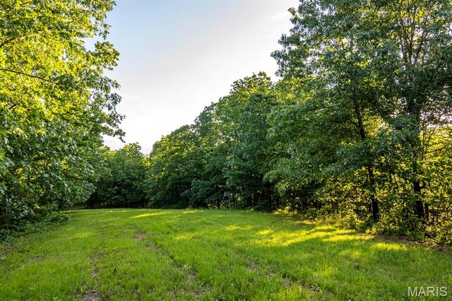 00 Tickridge Rd, Elsberry, MO 63377