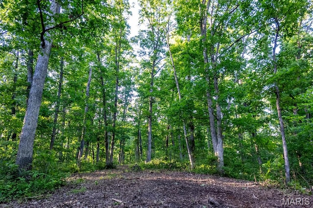 00 Tickridge Rd, Elsberry, MO 63377