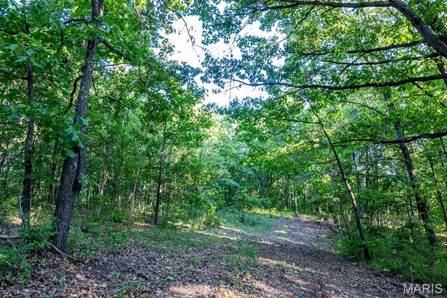 00 Tickridge Rd, Elsberry, MO 63377