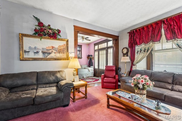 3623 Iowa Ave, Saint Louis, MO 63118 - living room with carpet flooring, plenty of natural light, a textured ceiling, and a ceiling fan