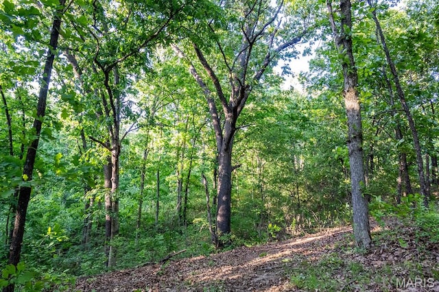 00 Tickridge Rd, Elsberry, MO 63343