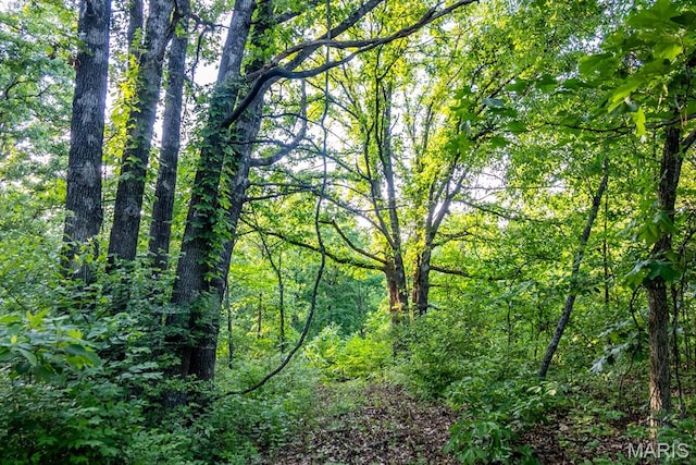 00 Tickridge Rd, Elsberry, MO 63343