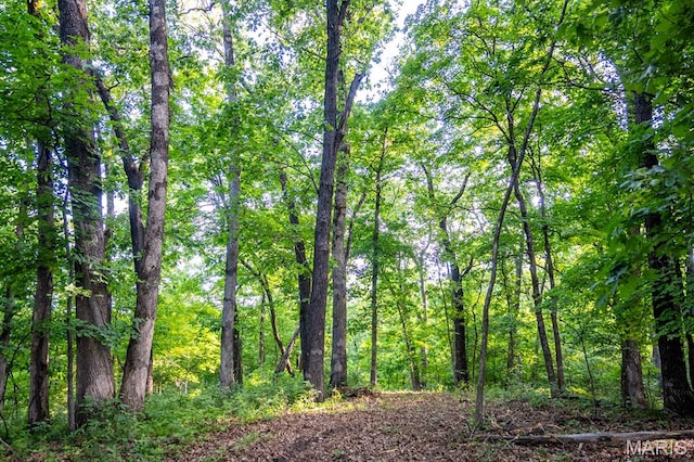 00 Tickridge Rd, Elsberry, MO 63343