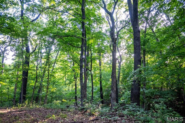 00 Tickridge Rd, Elsberry, MO 63343