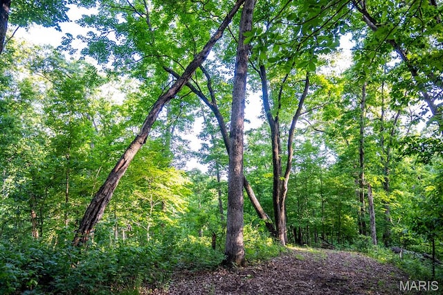 00 Tickridge Rd, Elsberry, MO 63343