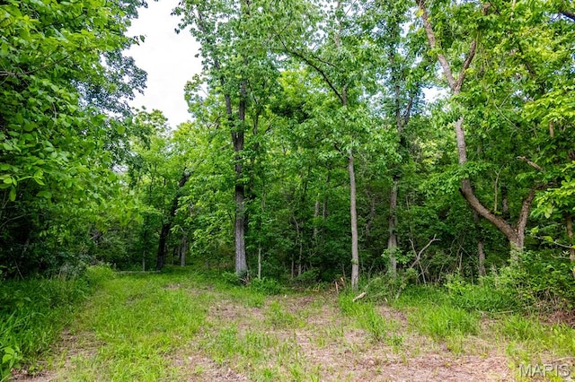 00 Tickridge Rd, Elsberry, MO 63343