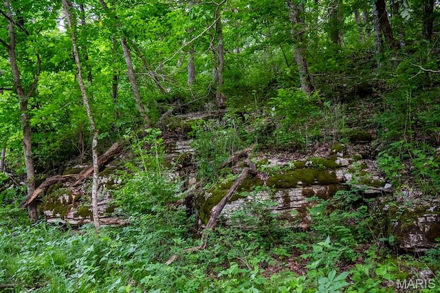 00 Tickridge Rd, Elsberry, MO 63343