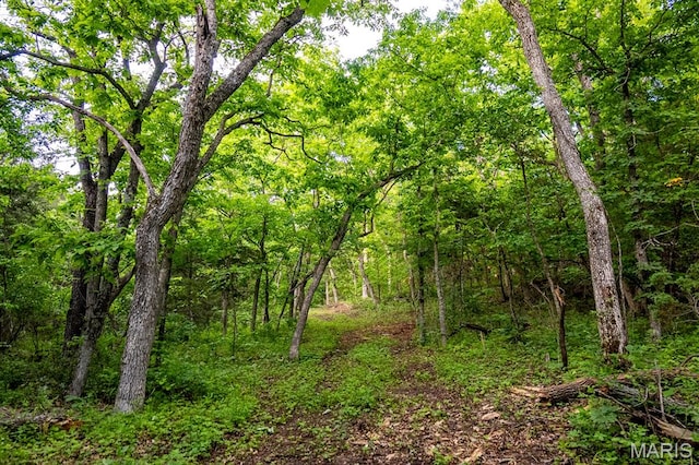 00 Tickridge Rd, Elsberry, MO 63343