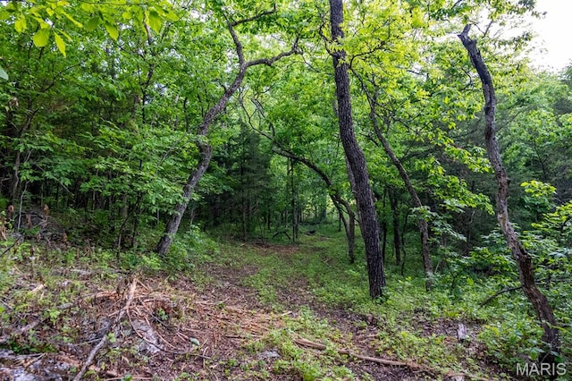 00 Tickridge Rd, Elsberry, MO 63343