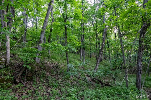 00 Tickridge Rd, Elsberry, MO 63343