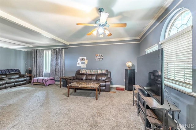 2809 Windwood Dr, Poplar Bluff, MO 63901 - photo 15