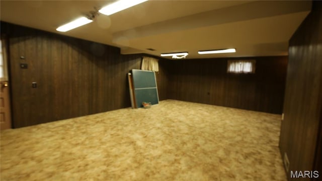 517 N 11th, De Soto, MO 63020 - finished basement featuring wood walls and carpet floors
