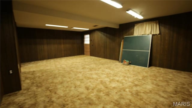 517 N 11th, De Soto, MO 63020 - basement with wooden walls and carpet floors
