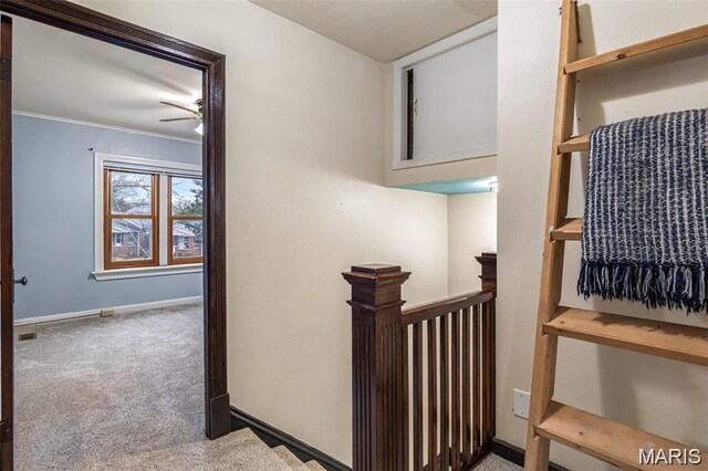 5505 S Kingshighway Blvd, Saint Louis, MO 63109 - photo 28