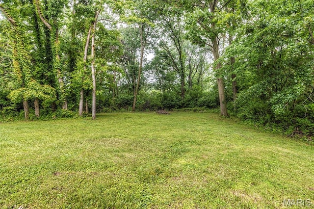 17560 Old Jamestown Rd, Florissant, MO 63034 - view of grassy yard featuring a view of trees