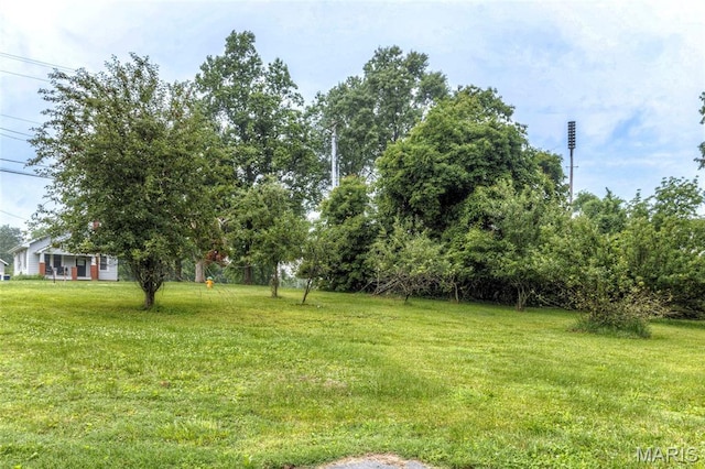 17560 Old Jamestown Rd, Florissant, MO 63034 - view of green lawn