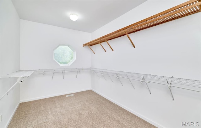 4 Hahn Estates Rd, Winfield, MO 63389 - walk in closet with light colored carpet