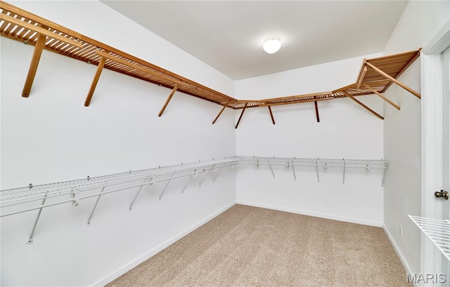 4 Hahn Estates Rd, Winfield, MO 63389 - walk in closet with light colored carpet