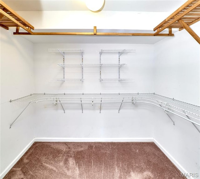 4 Hahn Estates Rd, Winfield, MO 63389 - walk in closet featuring carpet