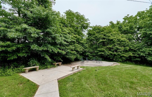 4 Hahn Estates Rd, Winfield, MO 63389 - view of grassy yard with a patio