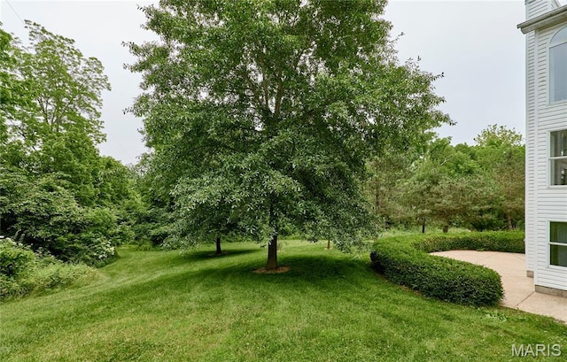 4 Hahn Estates Rd, Winfield, MO 63389 - view of green lawn