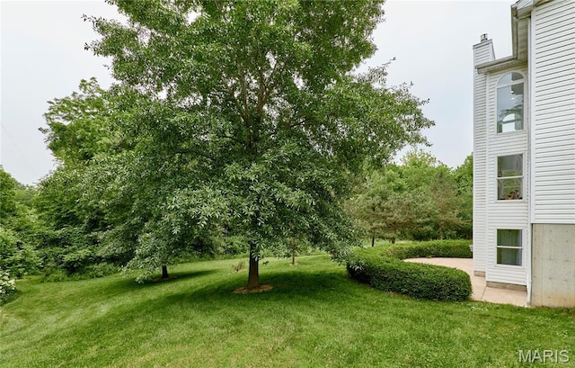 4 Hahn Estates Rd, Winfield, MO 63389 - view of green lawn