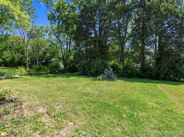 1216 Redman Blvd, Saint Louis, MO 63138 - view of green lawn