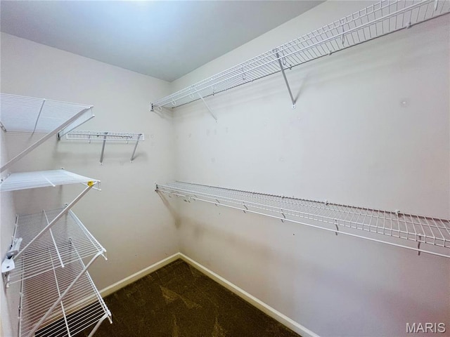 305 Hawk Nest Ct, Union, MO 63084 - spacious closet with carpet flooring