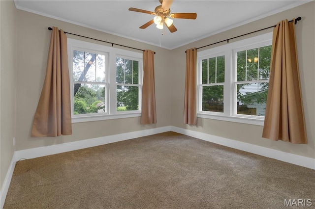 1425 Perryville Cpe, Girardeau, MO 63701 - photo 21