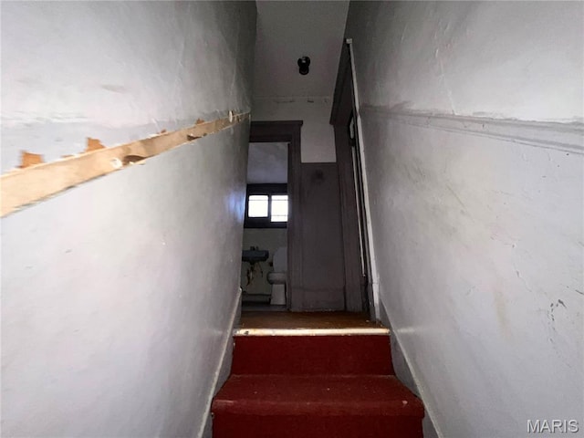 5220 Highland Ave, Saint Louis, MO 63113 - photo 13