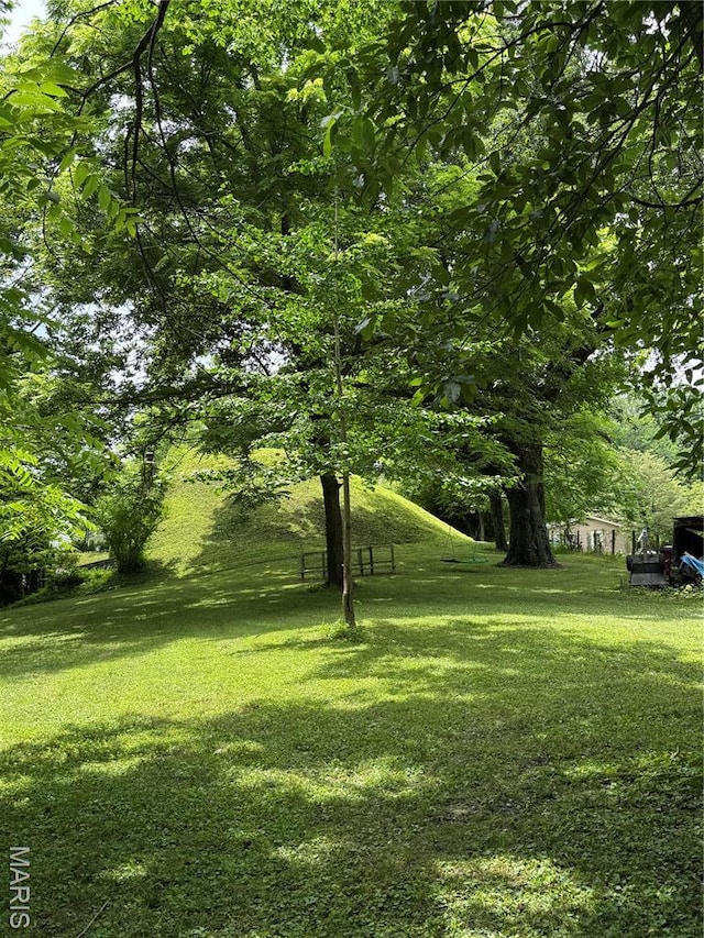 21 Charles Dr, Caseyville, IL 62232 - photo 25