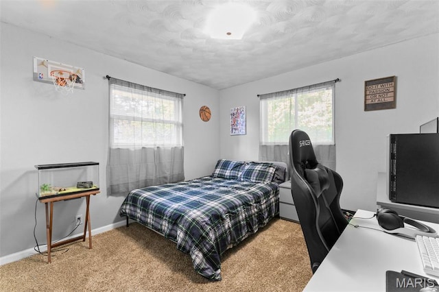 611 Park St, Farmington, MO 63640 - bedroom with multiple windows, carpet, a desk, and a textured ceiling