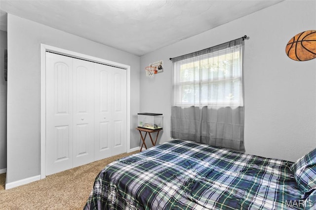 611 Park St, Farmington, MO 63640 - bedroom with carpet flooring and a closet