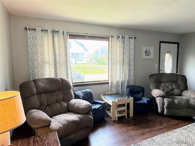 408 Clay, Edina, MO 63537 - living room with wood finished floors and a textured ceiling