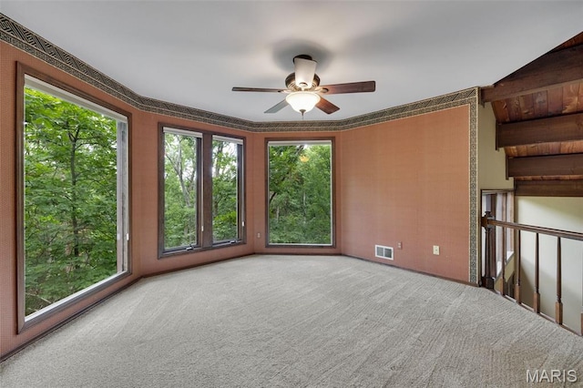 1509 Redbriar Dr, High Ridge, MO 63049 - spare room with carpet floors and a ceiling fan