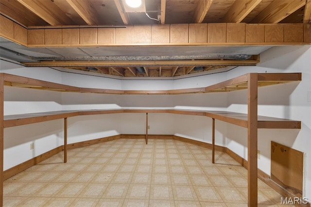 1509 Redbriar Dr, High Ridge, MO 63049 - view of storage area