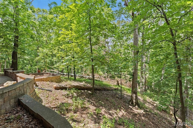 1509 Redbriar Dr, High Ridge, MO 63049 - view of yard featuring a forest view