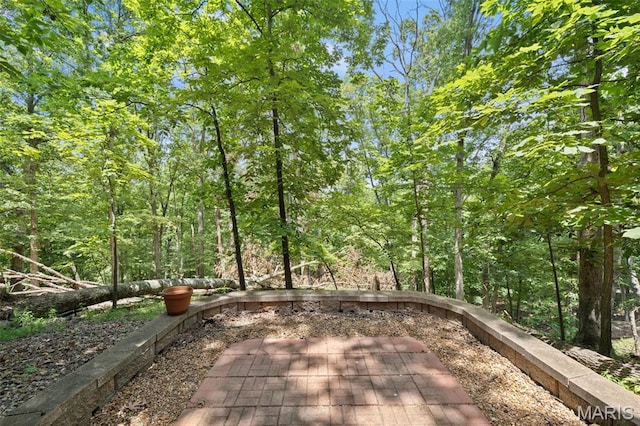 1509 Redbriar Dr, High Ridge, MO 63049 - surrounding community with a patio area