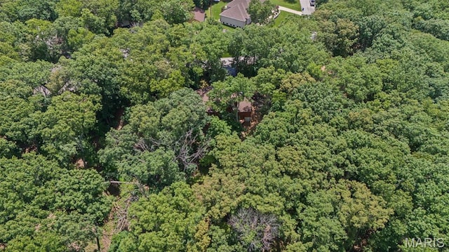 1509 Redbriar Dr, High Ridge, MO 63049 - view of property location with a forest