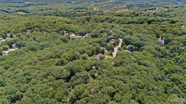 1509 Redbriar Dr, High Ridge, MO 63049 - drone / aerial view of a forest