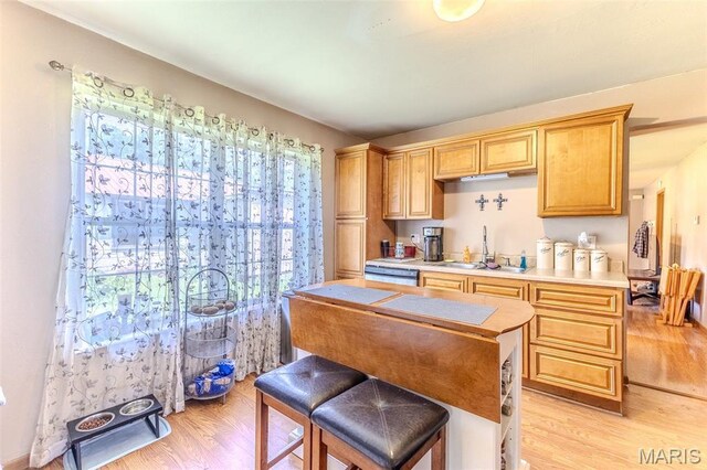 465 W Hayes St, Lebanon, MO 65536 - photo 11