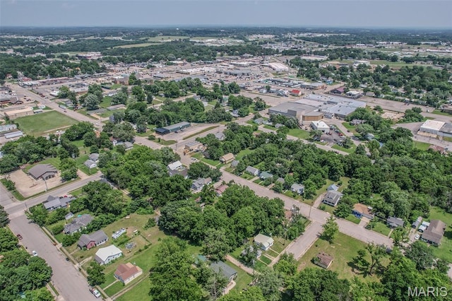465 W Hayes St, Lebanon, MO 65536 - photo 40