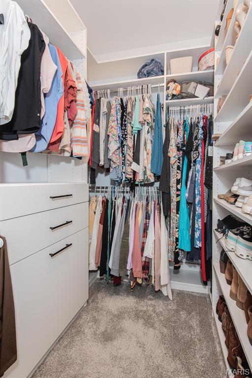 509 Spruce Hollow Ct, Wentzville, MO 63385 - view of spacious closet