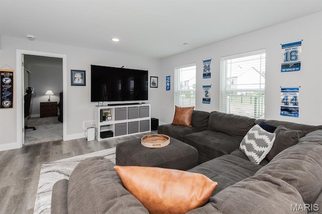 509 Spruce Hollow Ct, Wentzville, MO 63385 - living room featuring wood finished floors and recessed lighting