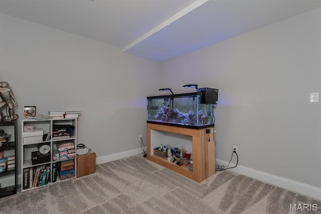 509 Spruce Hollow Ct, Wentzville, MO 63385 - miscellaneous room with baseboards and carpet flooring