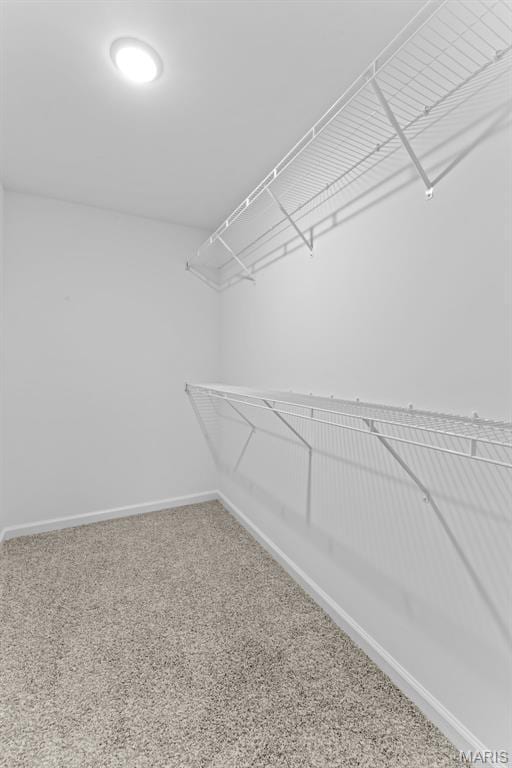 104 Tick Rd, Silex, MO 63377 - spacious closet with carpet floors