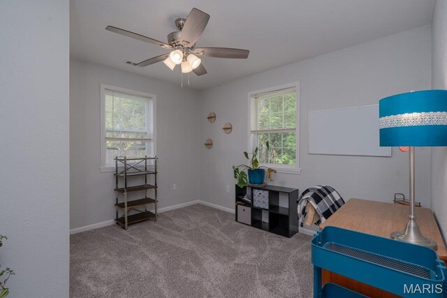 8 Walters, Lebanon, MO 65536