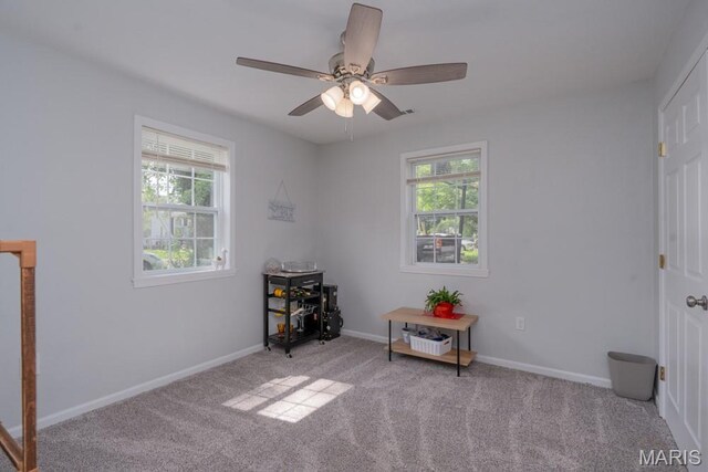 8 Walters, Lebanon, MO 65536